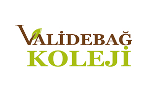 validebag.jpg